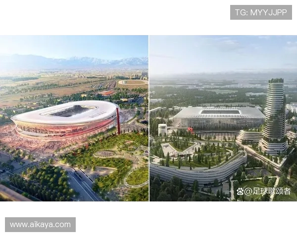 全方位解析体育运动的多样性与发展趋势，探索未来体育产业的创新与挑战