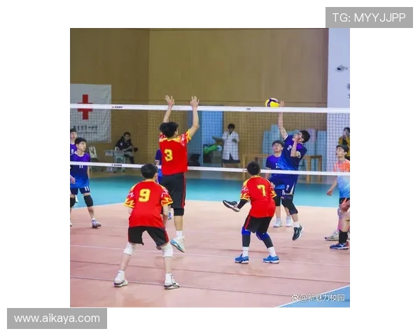 南京排球队在排球意识排行榜中荣获第六名展现出强大实力与潜力 南京排球队在排球意识排行榜中荣获第六名展现出强大实力与潜力