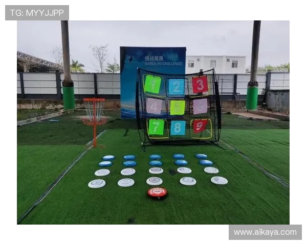 武汉飞盘队防反打法深度解析与战术应用探讨