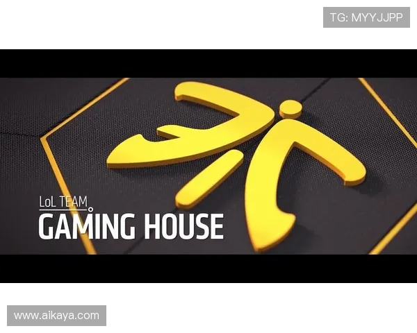 Fnatic战队再度崛起全面解析其全球电竞版图与未来发展战略