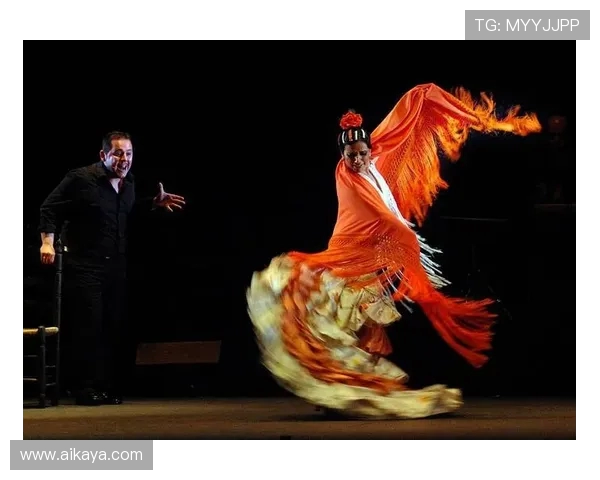 弗拉门戈舞蹈艺术的魅力与文化传承探究