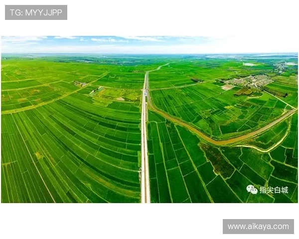 探索全球电竞产业崛起与未来发展趋势及生态构建路径分析研究前景